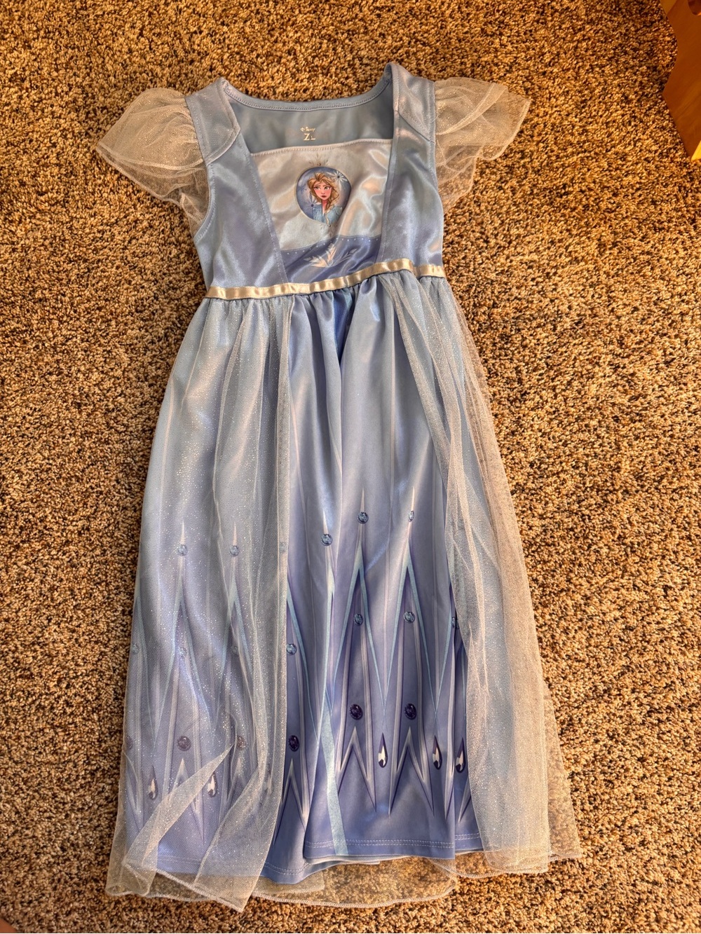 Frozen Princess Dress